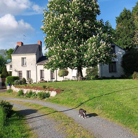 Chambres D'Hotes De L'Ile Du Saule Saumur Dış mekan fotoğraf