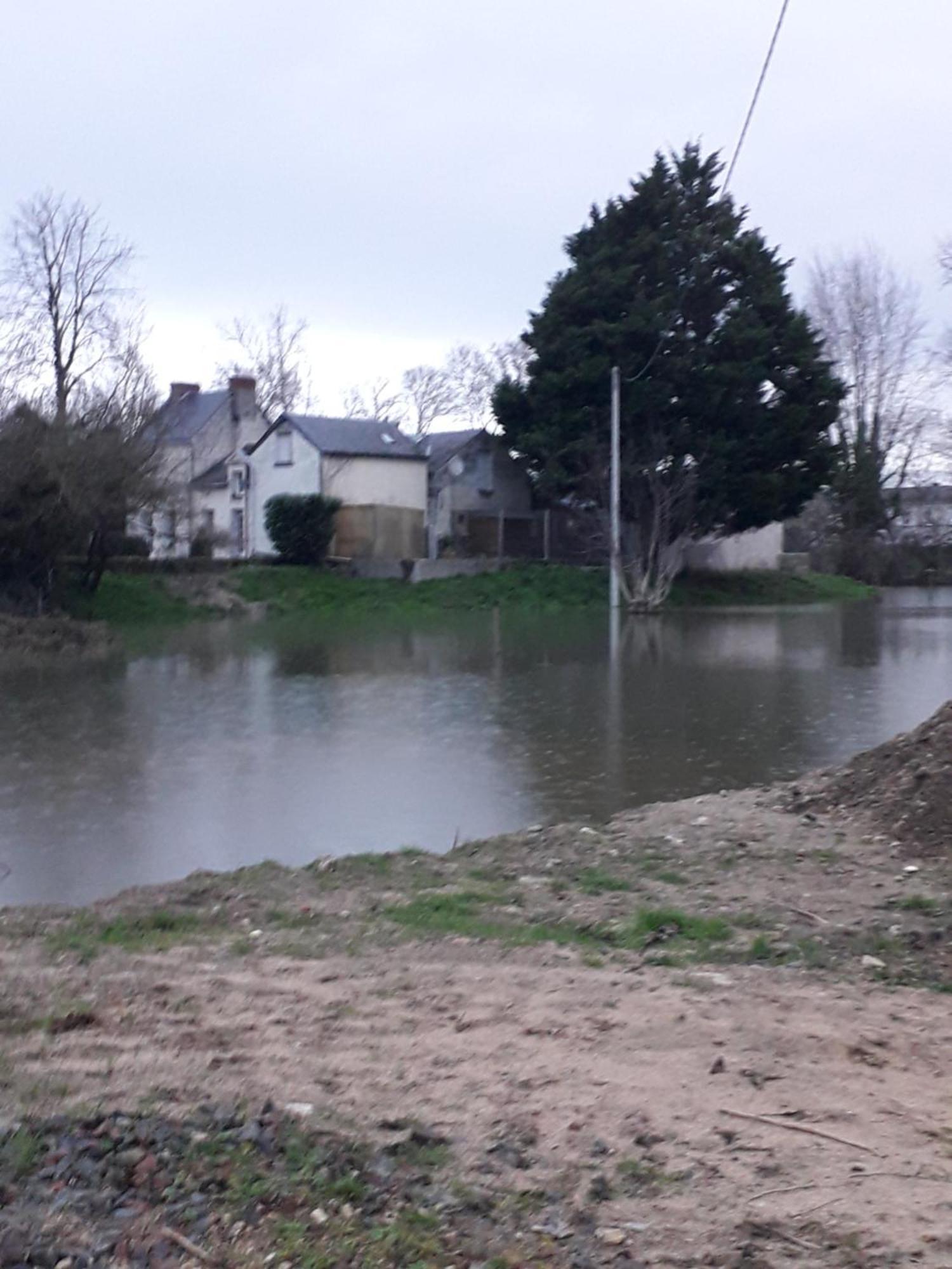 Chambres D'Hotes De L'Ile Du Saule Saumur Dış mekan fotoğraf