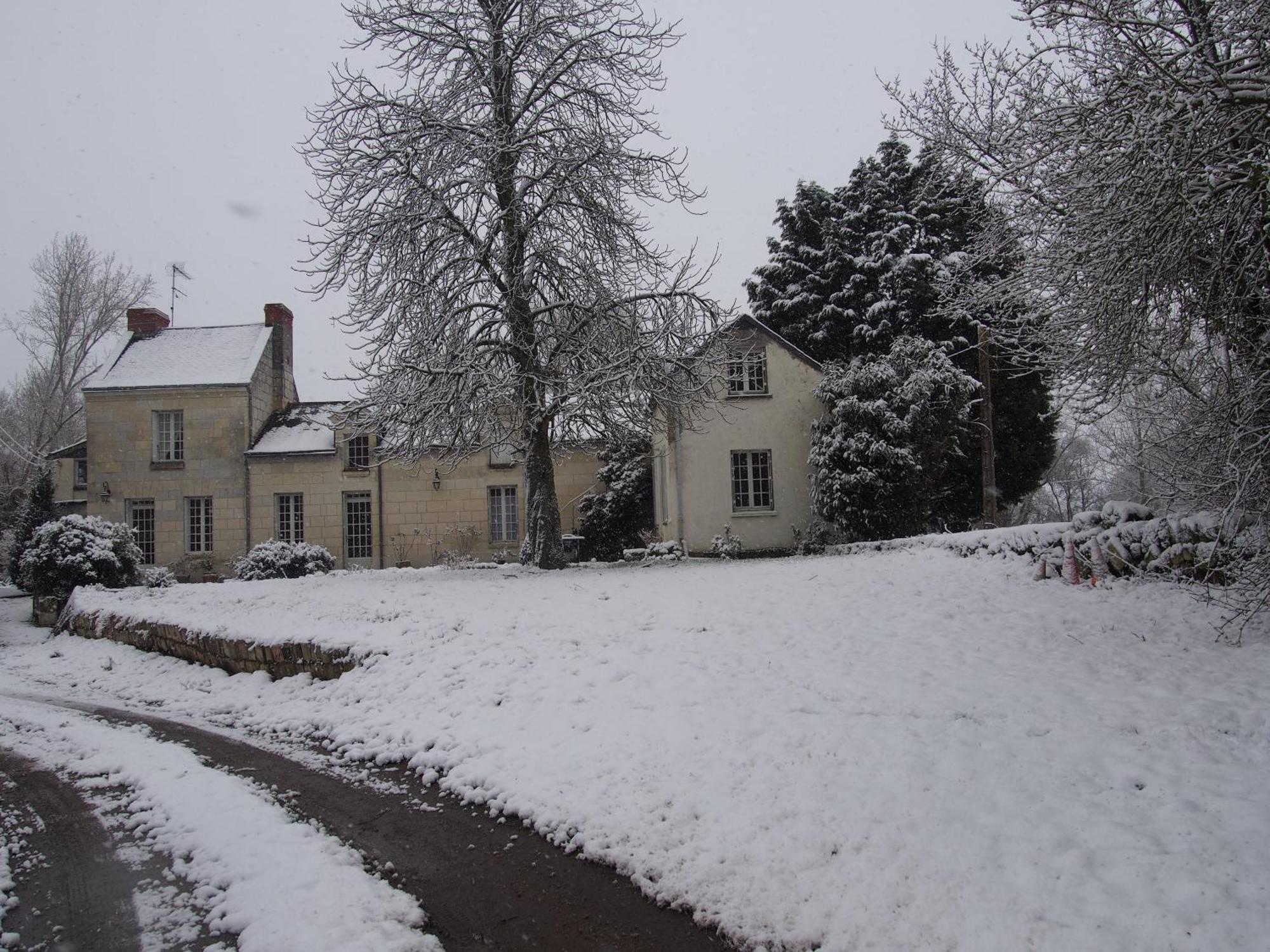 Chambres D'Hotes De L'Ile Du Saule Saumur Dış mekan fotoğraf