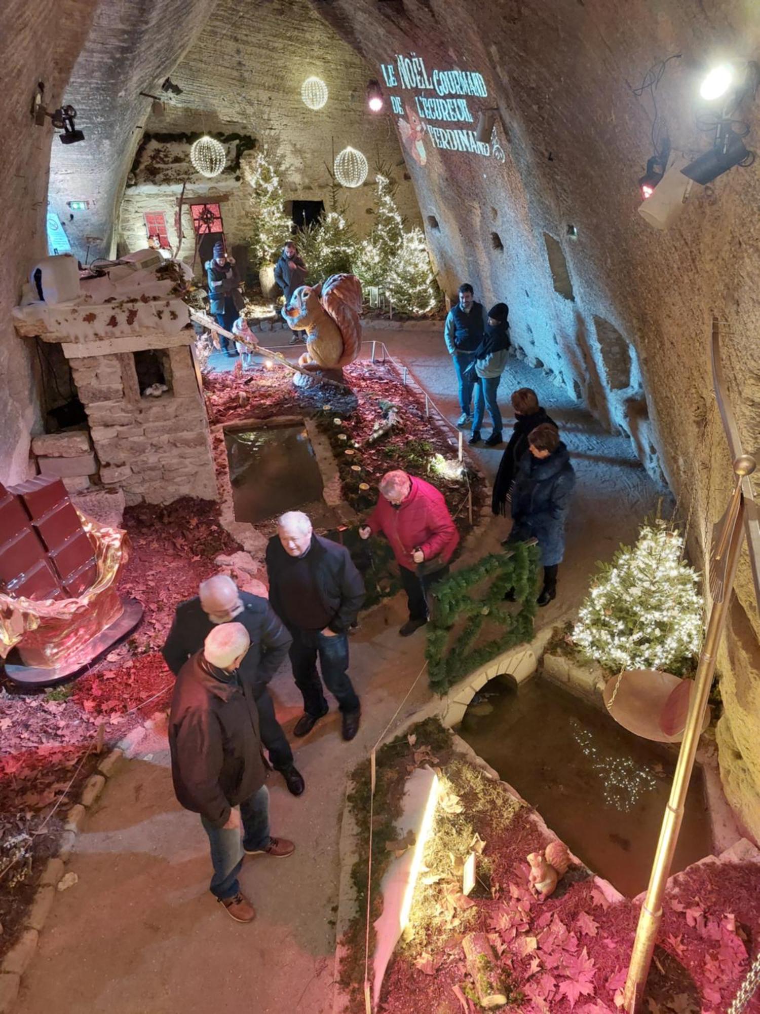 Chambres D'Hotes De L'Ile Du Saule Saumur Dış mekan fotoğraf